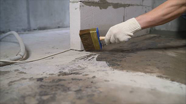 SJ Waterproofing Pros Waterproofing coverage map for Whitesburg, TN and surrounding area